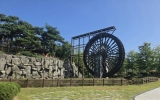 영광군, 불갑산 상사화축제 앞두고 환경정비 총력
