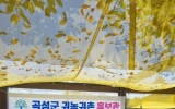 곡성군, 가을철 관광객 대상 귀농귀촌 상담 운영