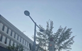 강성휘 목포시장, 교육부 앞 1인 시위