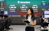 美 반도체주 급등에 삼전·닉스 프리마켓서 