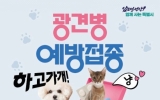 전남광주특별시 “반려견·반려묘 광견병 예방접종 받으세요”