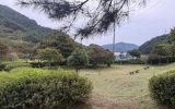 순천시, 도심 녹색 공간 풀베기로 시원한 단장