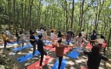 가을빛 물드는 해남 흑석산서 힐링하세요
