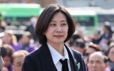 靑, 오늘 