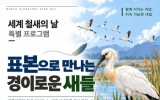 “새는 죽어 가죽을 남긴다”철새들의 이야기 들어보실래요?