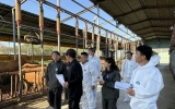 조용민 국립축산과학원장, 함평군 한우농가 찾아 시범사업 현장 점검