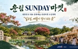 진도군, 운림산방서 가을 문화장터 운영