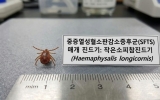 풀숲, 논밭도 조심… 장성군 “진드기 매개 감염병 주의”