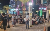 섬품은 밤정원 이야기