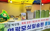 영광군, ‘2026 영호남문화대축전’서 영광모싯잎송편 홍보