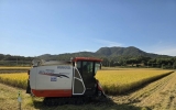 강진군 “수확 후 볏짚, 논에 돌려 땅심 높이세요”