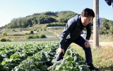 김장 배추·무 11월 공급 안정 전망…마늘·양파는 비축물량 푼다