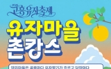 고흥유자축제, ‘유자향 가득한 유자마을 촌캉스’ 모집 당일 조기 마감