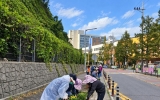 영암 삼호읍으로 가을꽃 구경하러 오세요