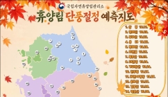 전남광주 단풍 절정기는 언제?…내달 5일 방장산서 시작